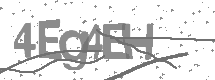 visual captcha